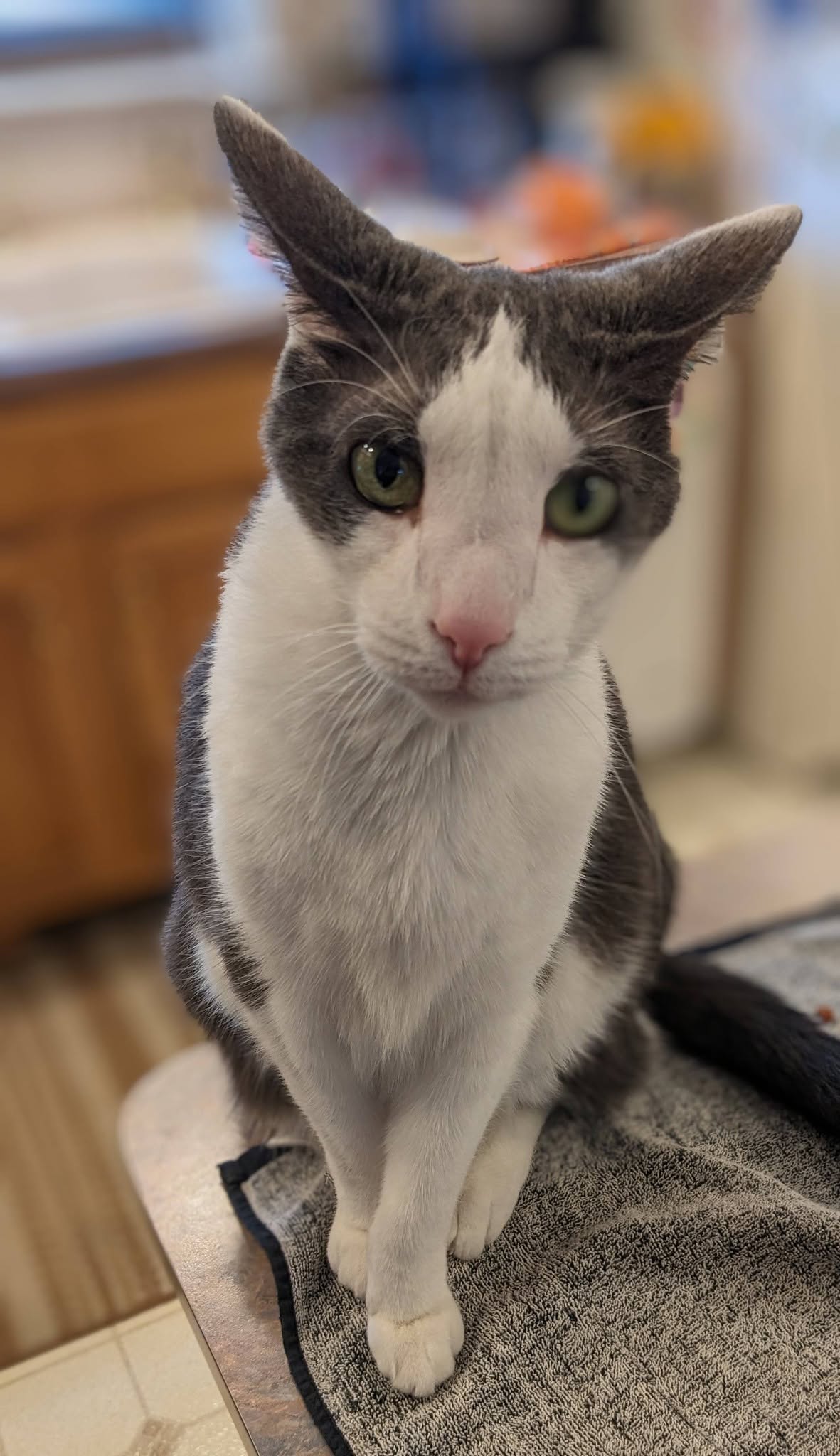 Vader looking directly at the camera