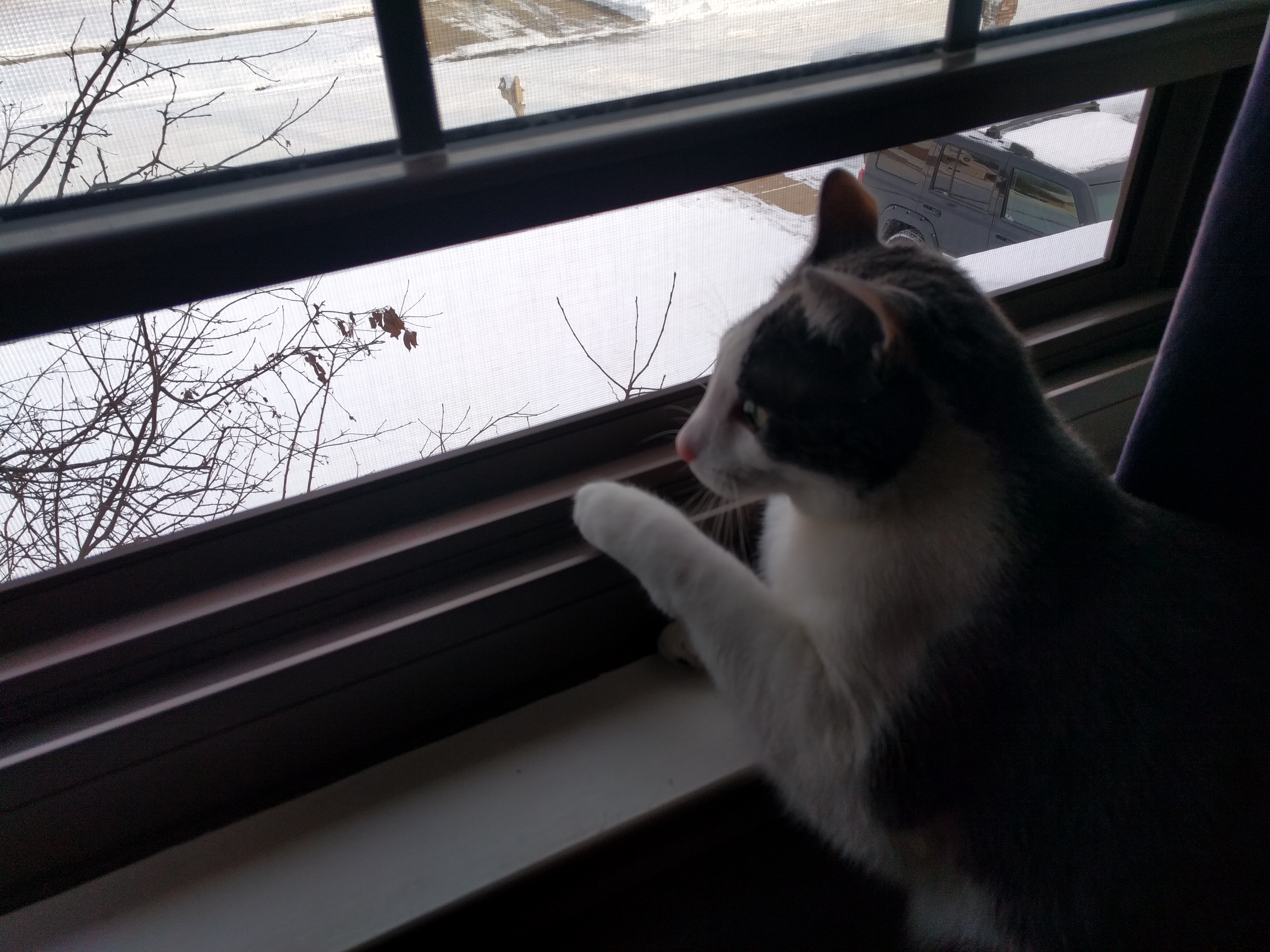 Vader watching the world through a window