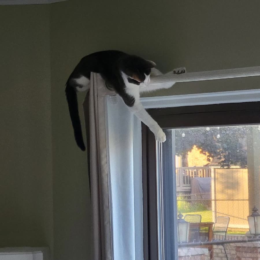 Vader curtain