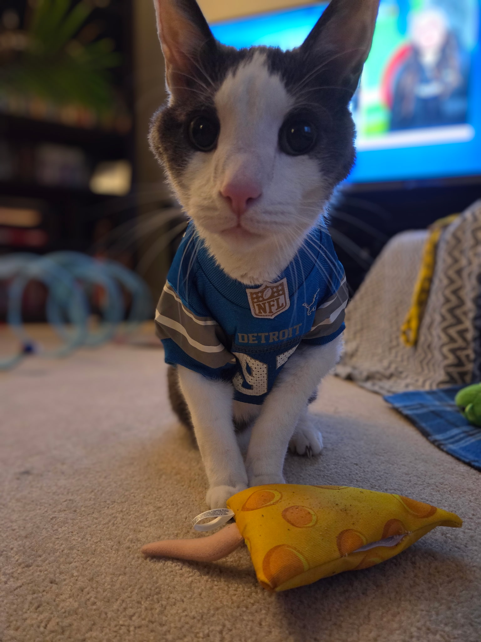 Vader wearing Detroit Lions colors