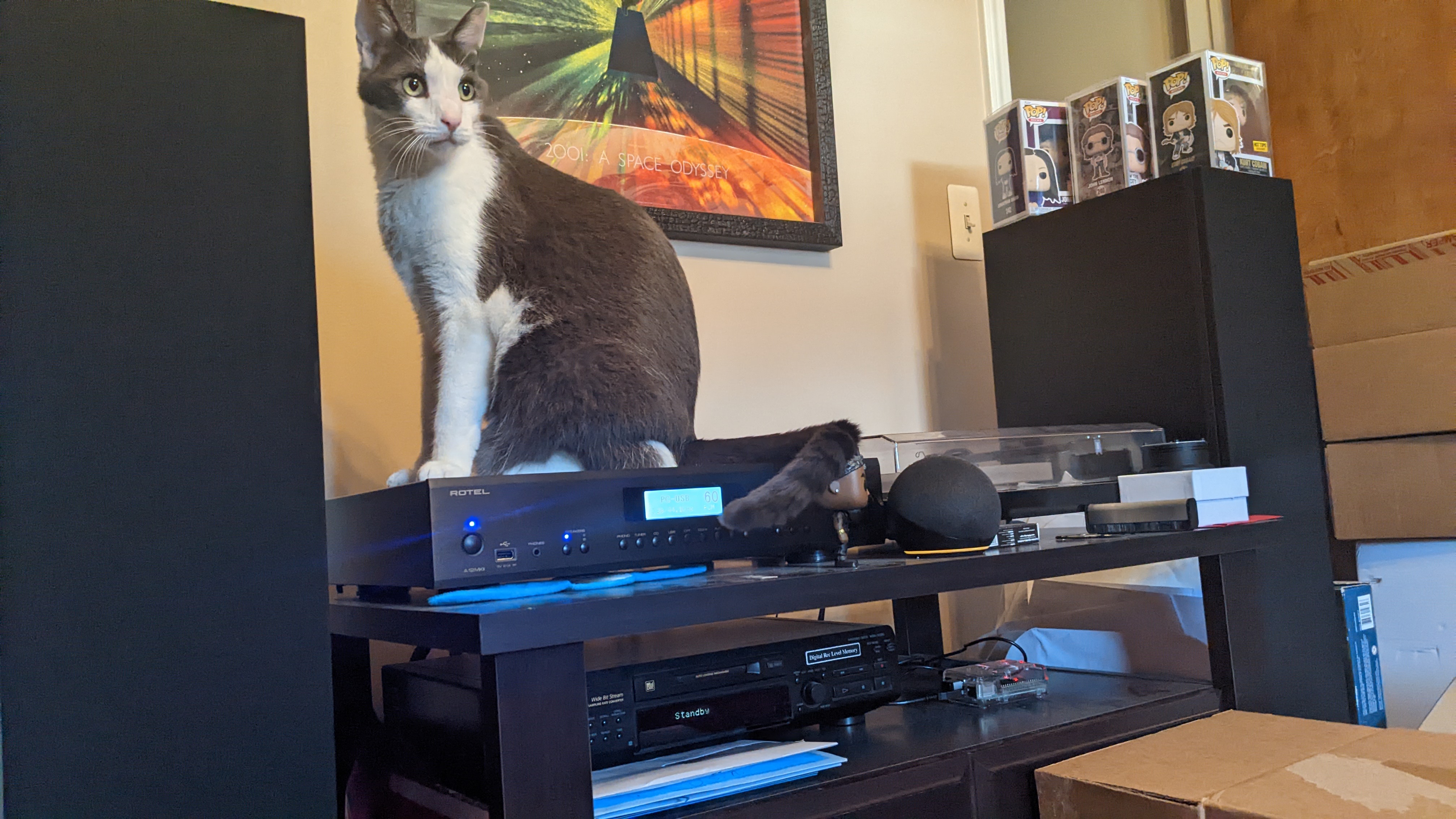 Vader stretched across the warm stereo