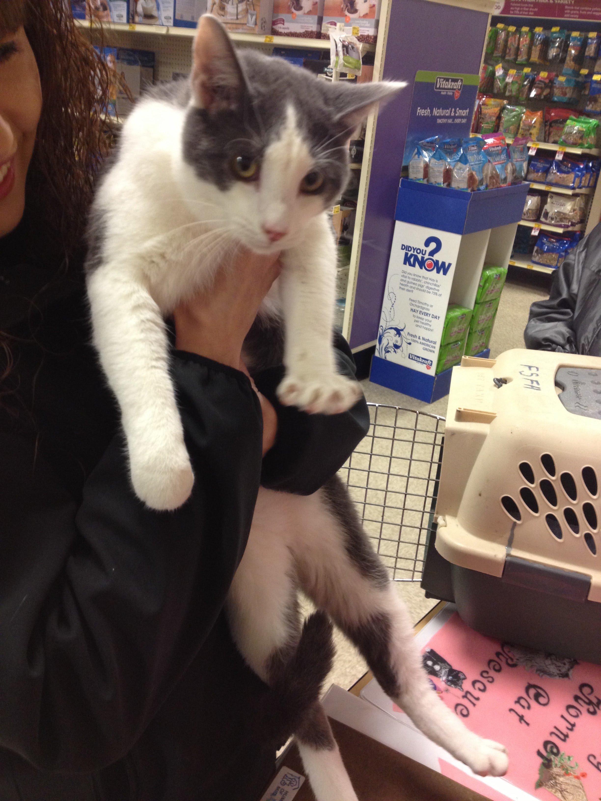 Christina holding Vader for the first time at PetSmart